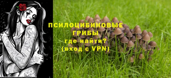 сатива Козельск