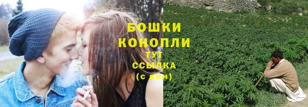 амф Карпинск