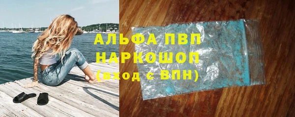 сатива Козельск