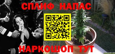 ECSTASY Абакан