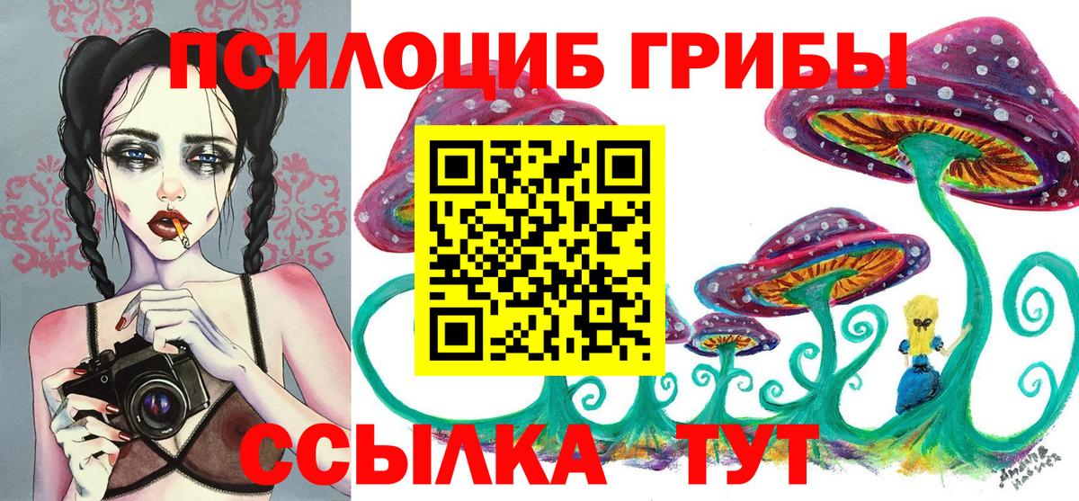 Надым  Галлюциногенные грибы Psilocybe  Вход с VPN 