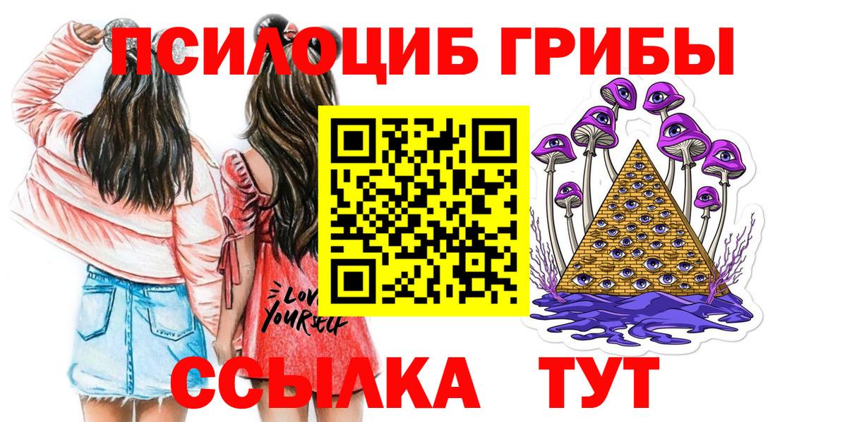 Надым  Псилоцибиновые грибы Cubensis  наркошоп  Вход с VPN 